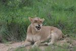 safrica_dec_13_image38.jpg
